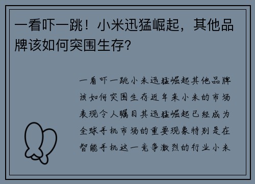 一看吓一跳！小米迅猛崛起，其他品牌该如何突围生存？
