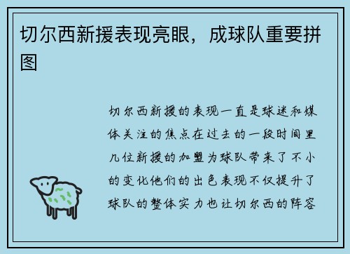 切尔西新援表现亮眼，成球队重要拼图