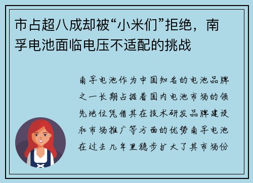 市占超八成却被“小米们”拒绝，南孚电池面临电压不适配的挑战