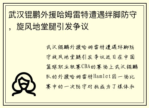武汉锟鹏外援哈姆雷特遭遇绊脚防守，旋风地堂腿引发争议