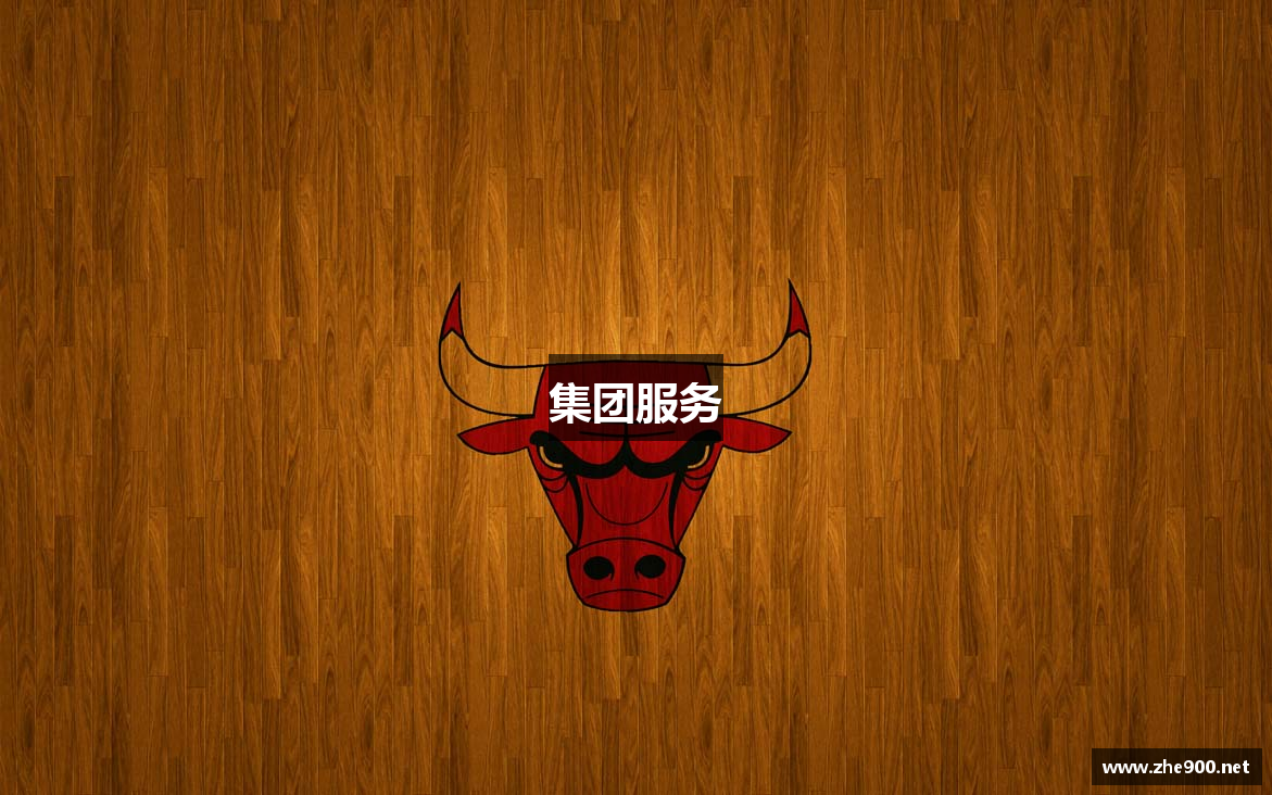 集团服务